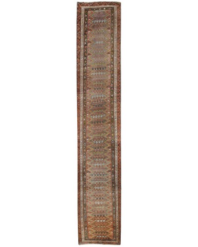 Persian Malayer
